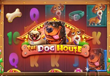 Microgaming - игровой автомат онлайн от Various с RTP 95.69%